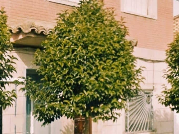 Casa pareada en venta en Cabañas de Ebro